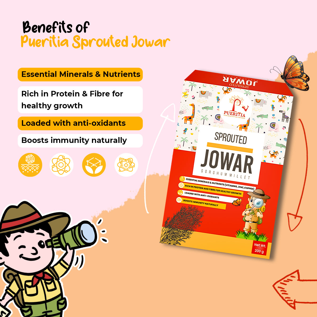 Sprouted Jowar Powder